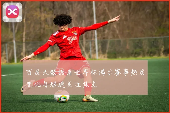 百度大数据看世界杯揭示赛事热度变化与球迷关注焦点