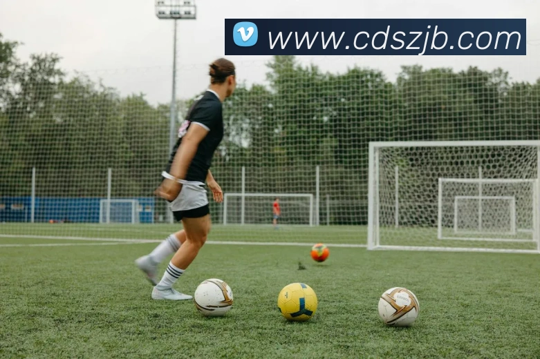 云开体育官方登录入口服务体系